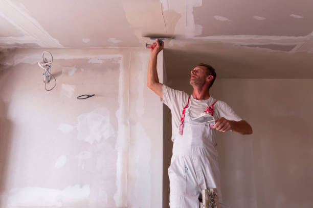 Best Drywall Installation  in Clifton Forge, VA